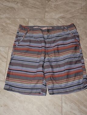 Mossimo Supply Co. Men's Striped Board Shorts in Gray, Blue & Rust